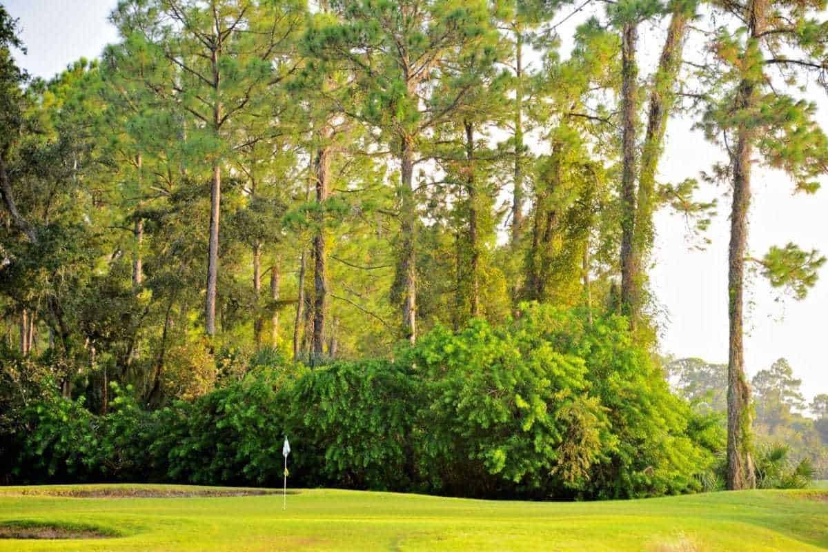 The Preserve At Turnbull Bay Golf Course
