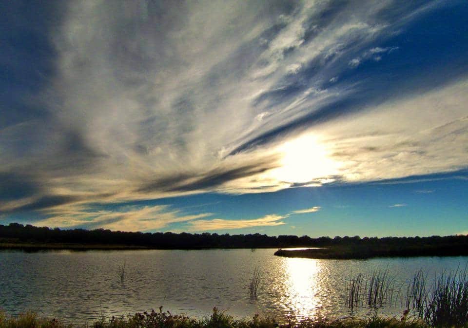Pintail Lake