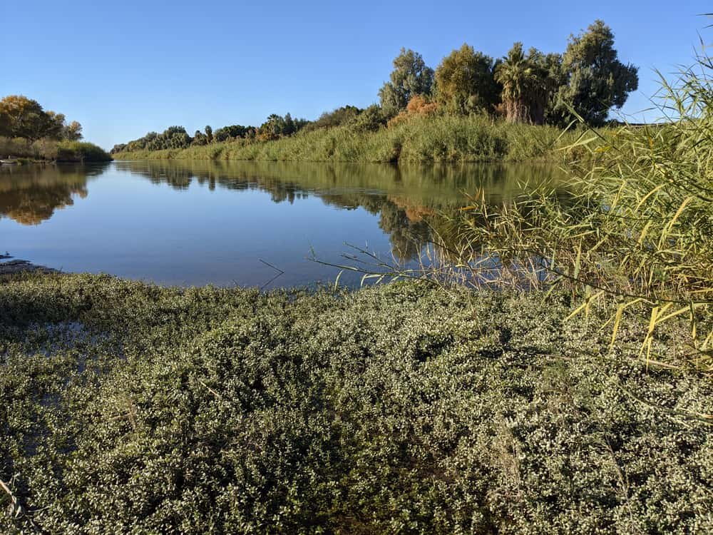 West Wetlands Park in Yuma