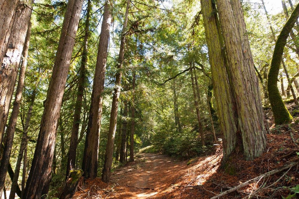 Annadel State Park