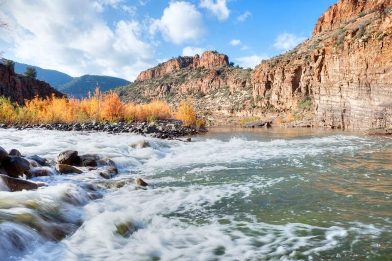 Salt River, Arizona