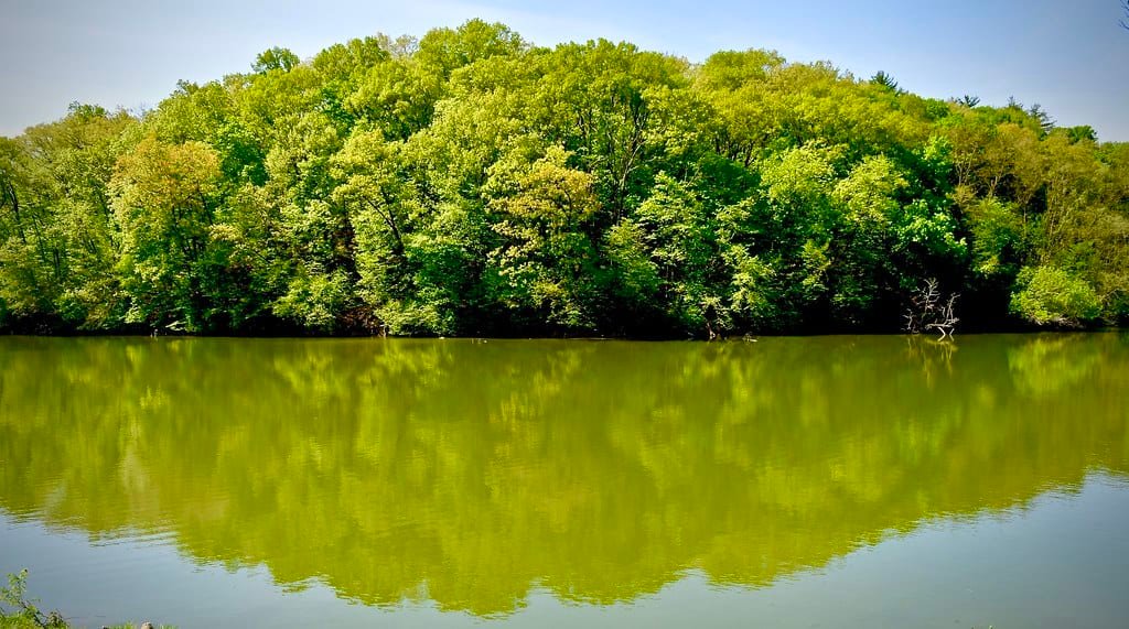 Argyle Lake