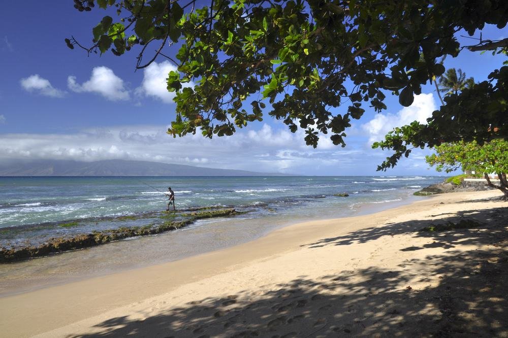 Baldwin Beach Park