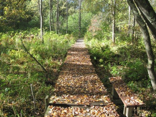 Beaver Creek Nature Reserve