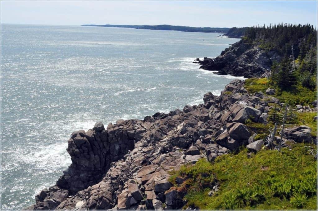 Bold Coast Preserve, Cutler