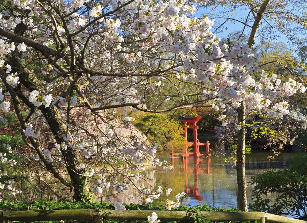 Brooklyn Botanic Gardens