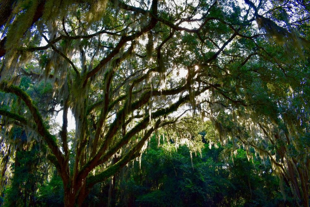 Timucuan Ecological and Historic Preserve