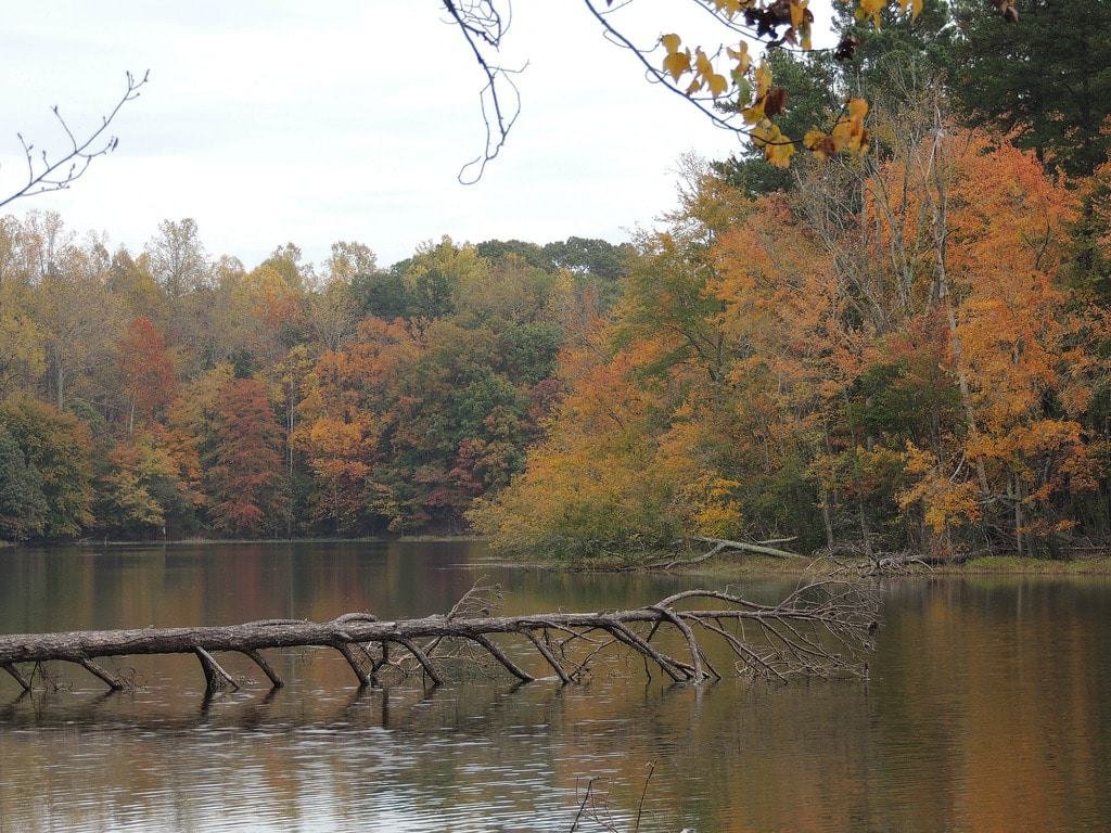 City Lake Park