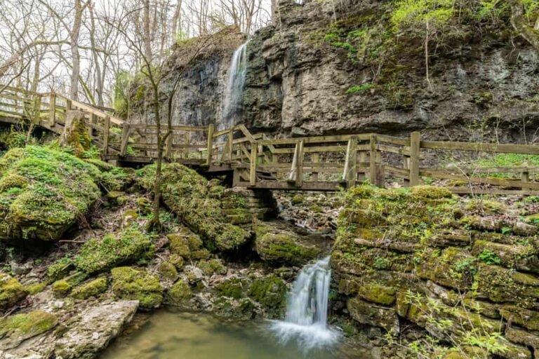 Clifton Gorge