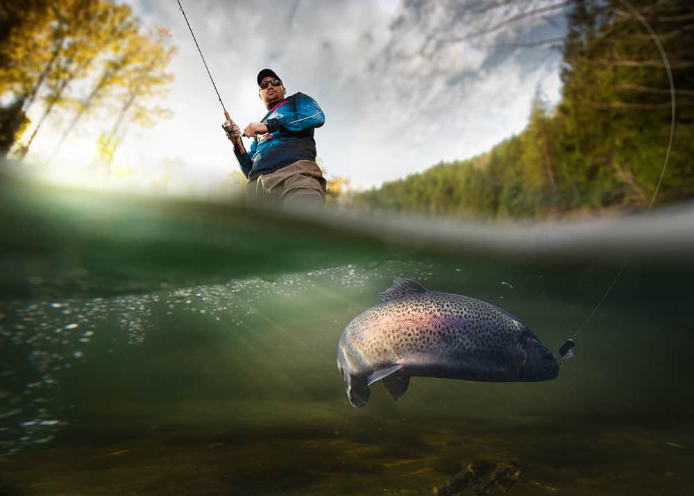 Trout Fishing