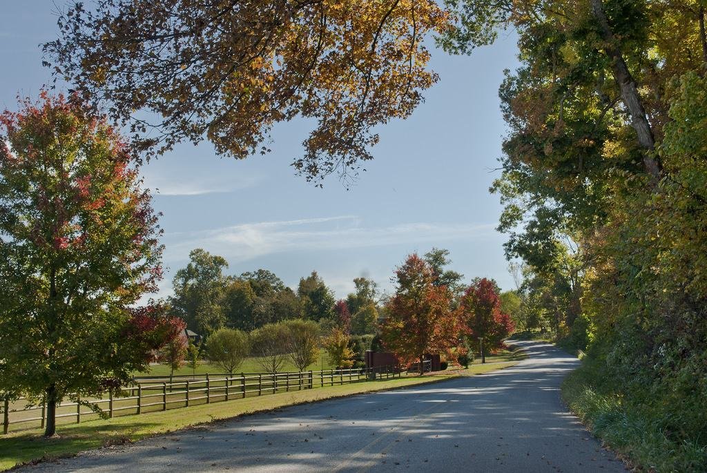 Elm Springs, Arkansas