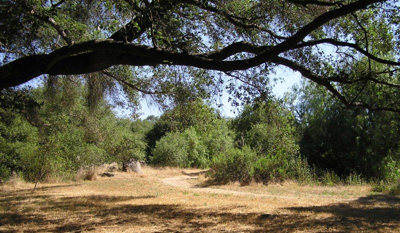 Felicita Park