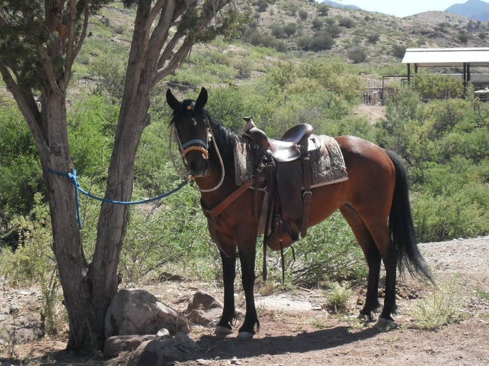 Cold Creek Ranch