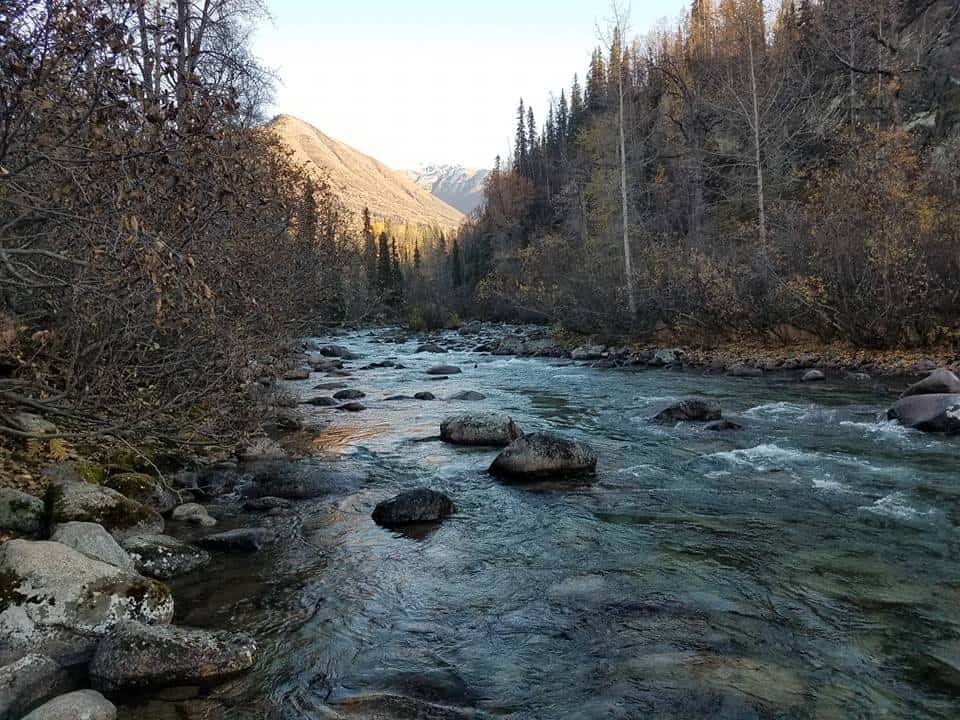 Government Peak Recreation Area, Alaska