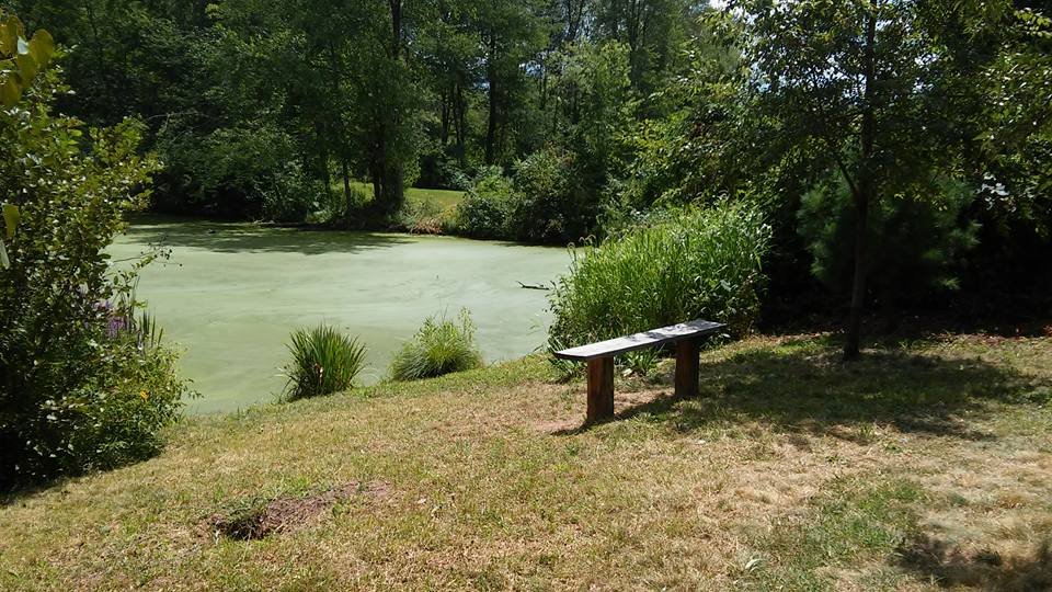 Hockanum River Trails