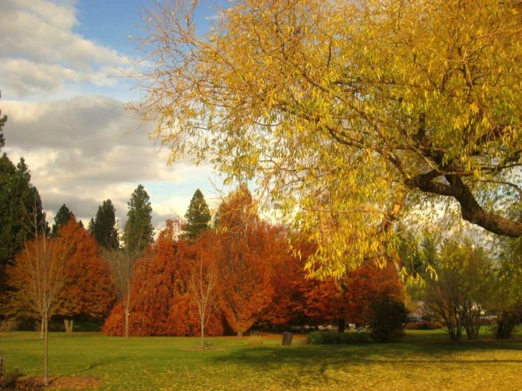 John A. Finch Arboretum