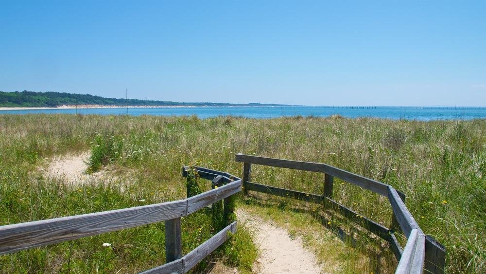 Kiptopeke State Park, Virginia