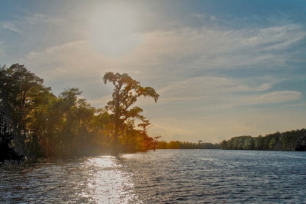 Lake Maurepas