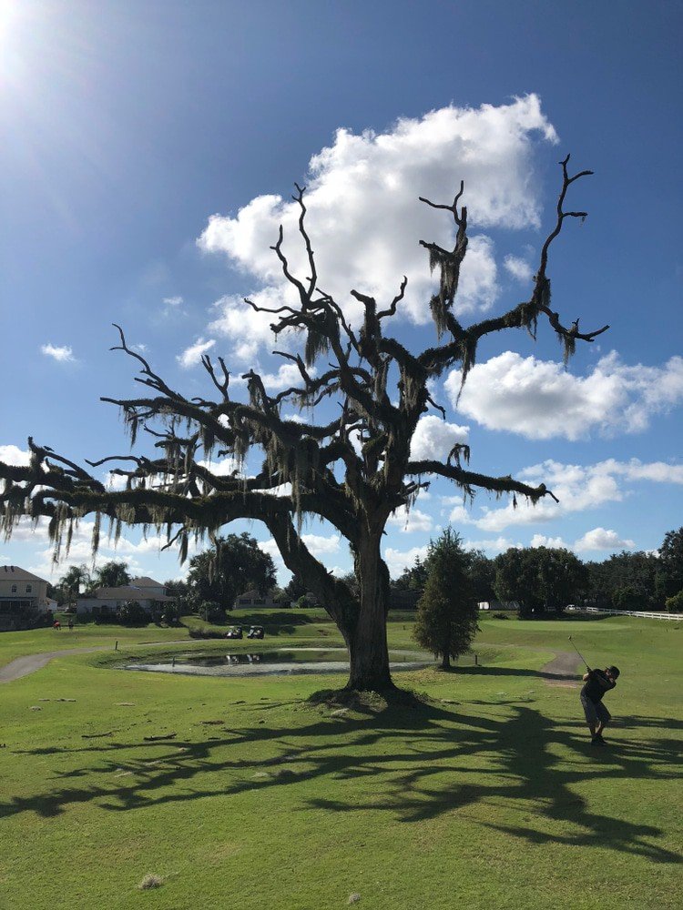 Mayfair Country Club