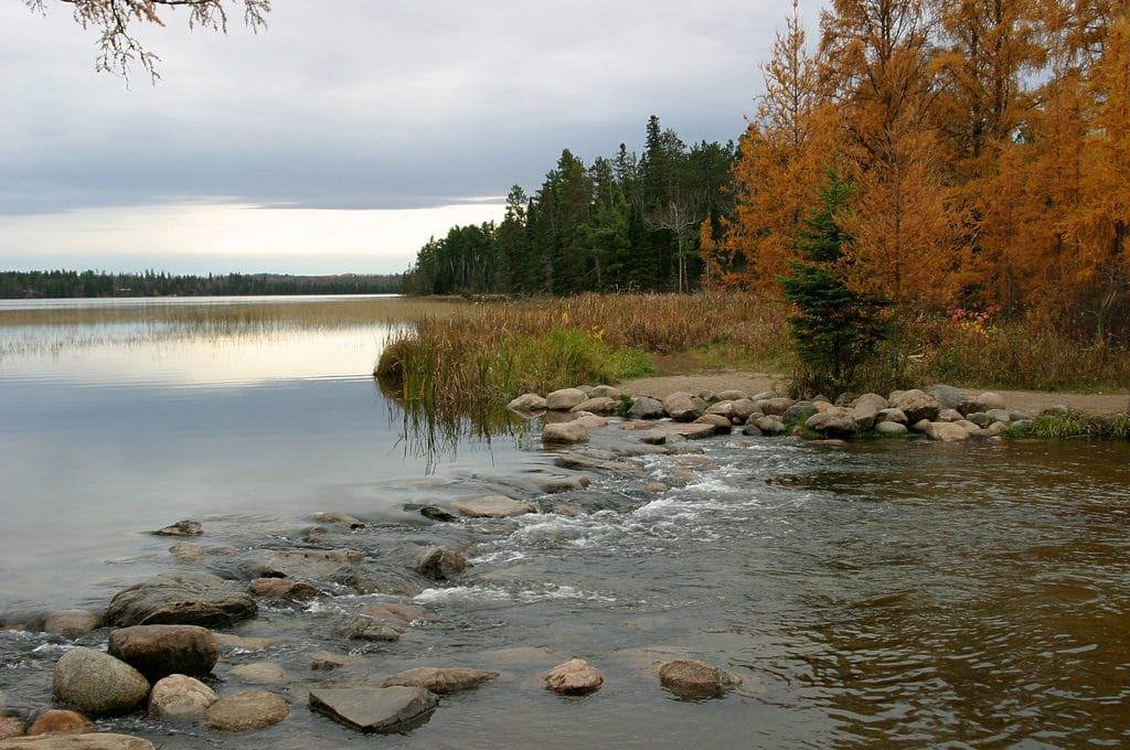 Mississippi River State Park, Arkansas