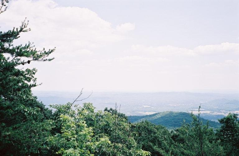 Mountain Longleaf National Wildlife Preserve