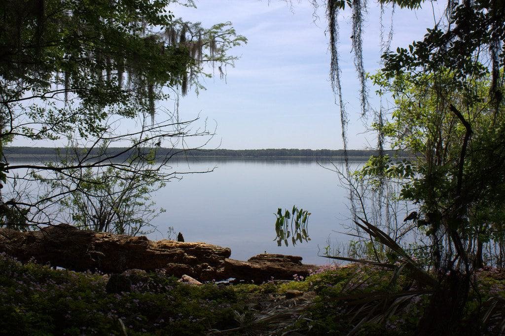 Newnans Lake