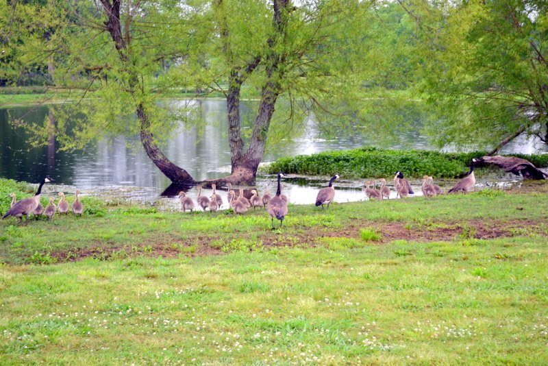 Oakville Indian Mounds Education Center