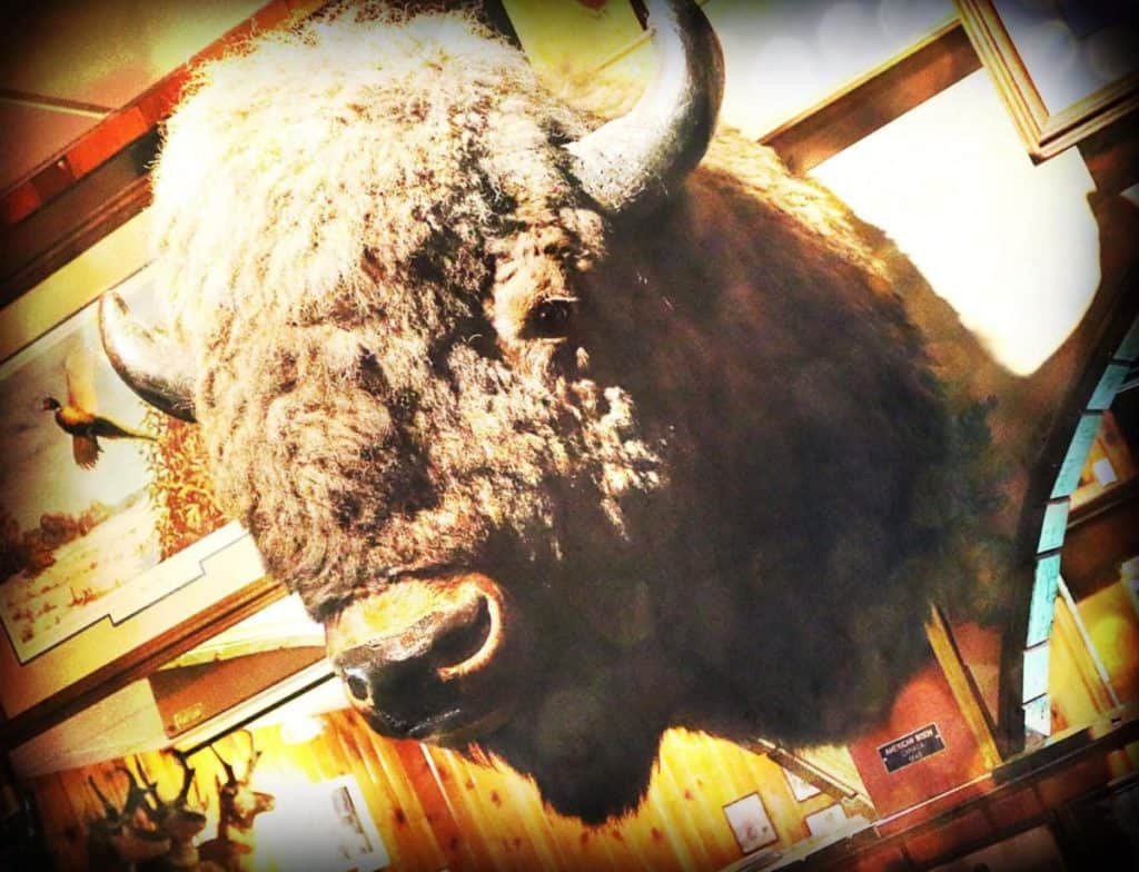 Ole's Big Game Steakhouse And Lounge, Paxton