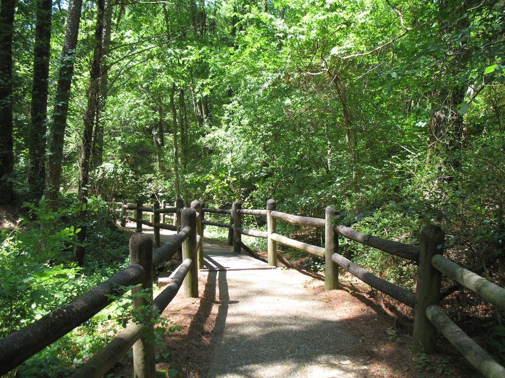 Mississippi Petrified Forest