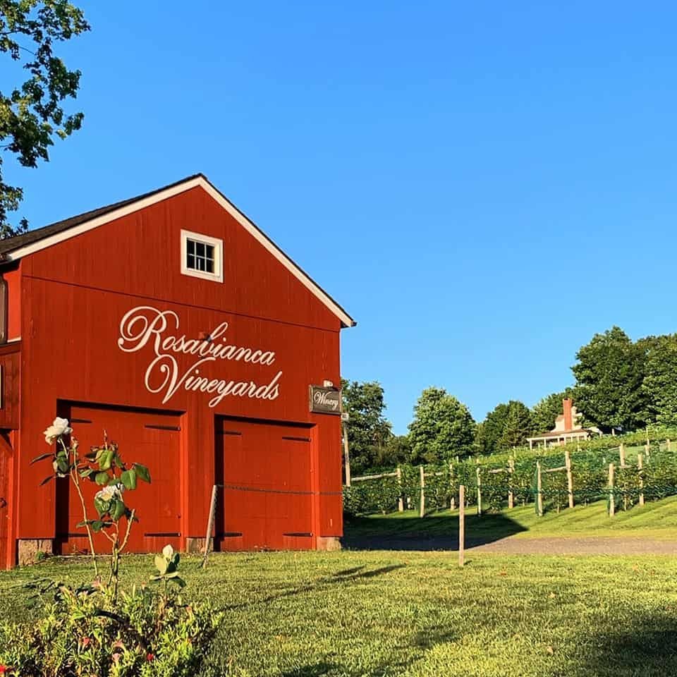 Rosabianca Vineyards