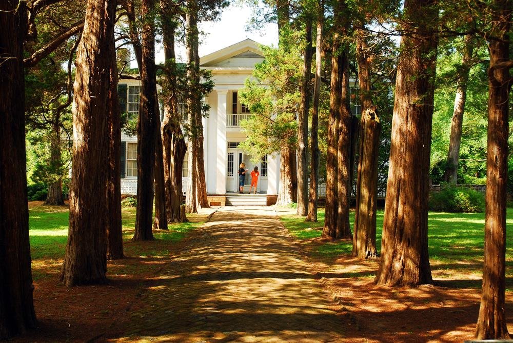 Rowan Oak Oxford