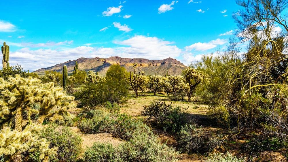 Usery Mountain Regional Park