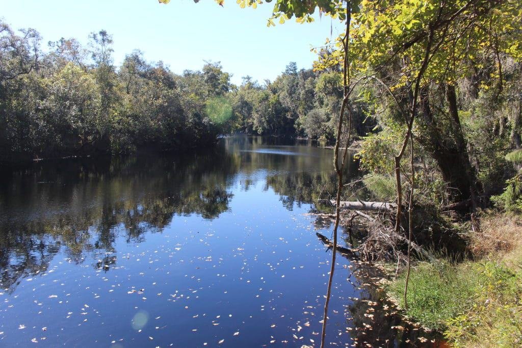 Big Shoals State Park