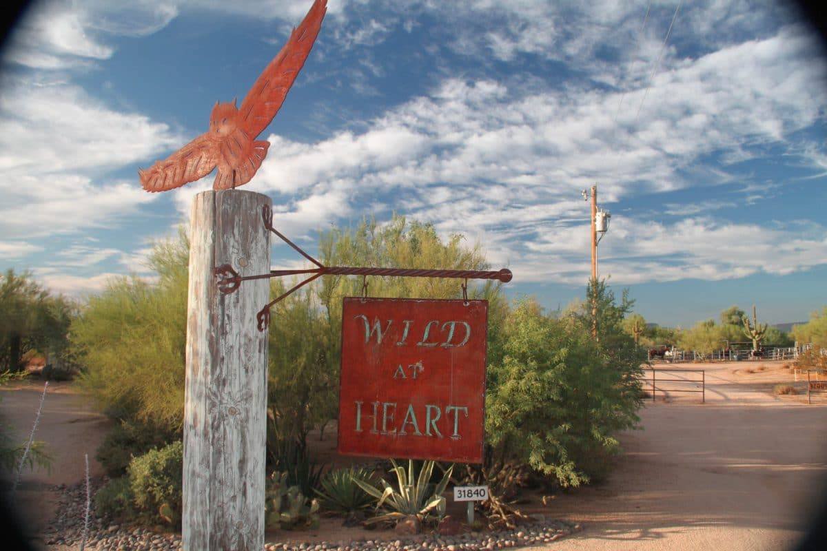 Wild At Heart