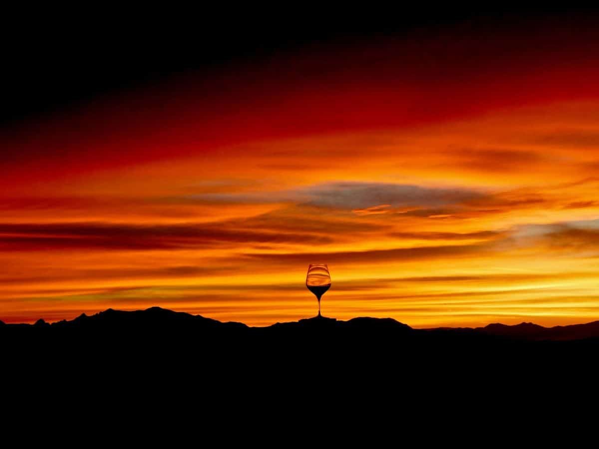 Wines Of Willcox