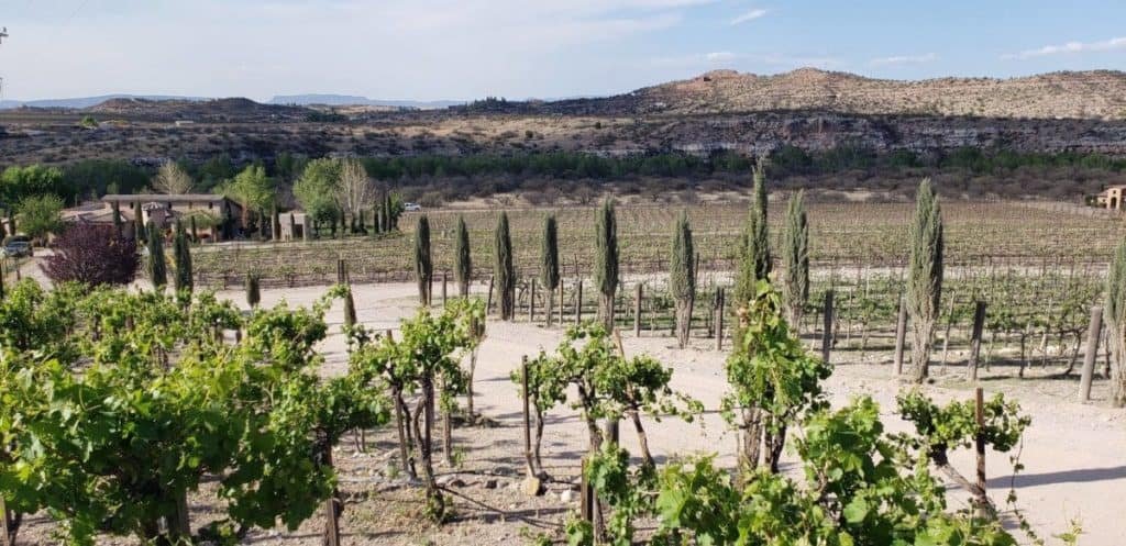 Alcantara Vineyards And Winery