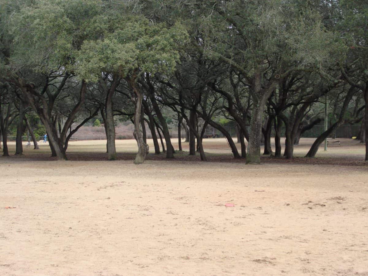 Niceville Dog Park