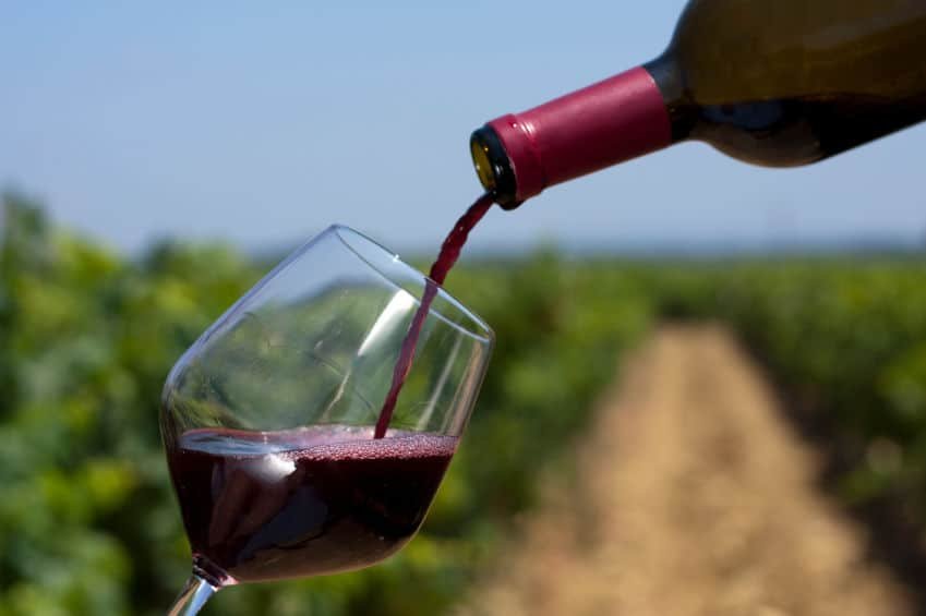 Discover Brandywine Valley