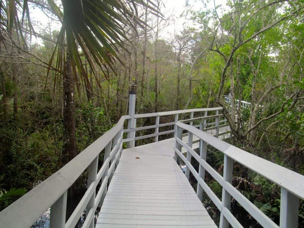 Fern Forest Nature Park