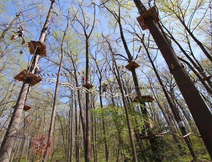 The Adventure Park