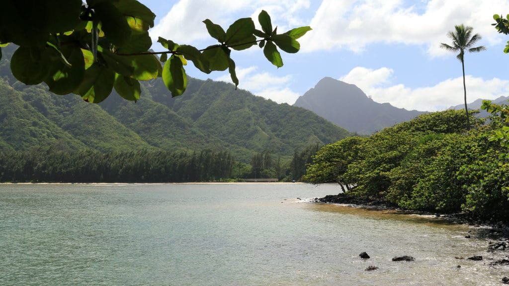 Huilua Fishpond