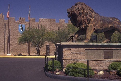 International Wildlife Museum