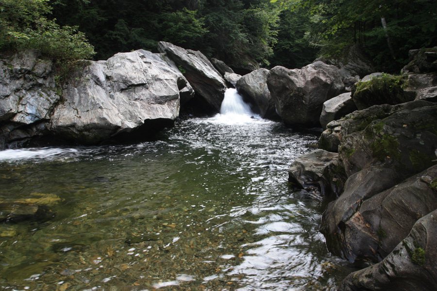 Jeff Falls