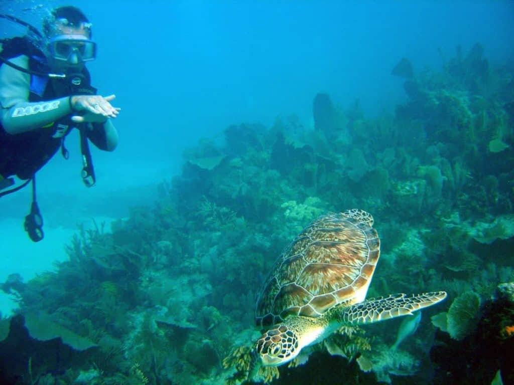 John Pennekamp Coral Reef State Park