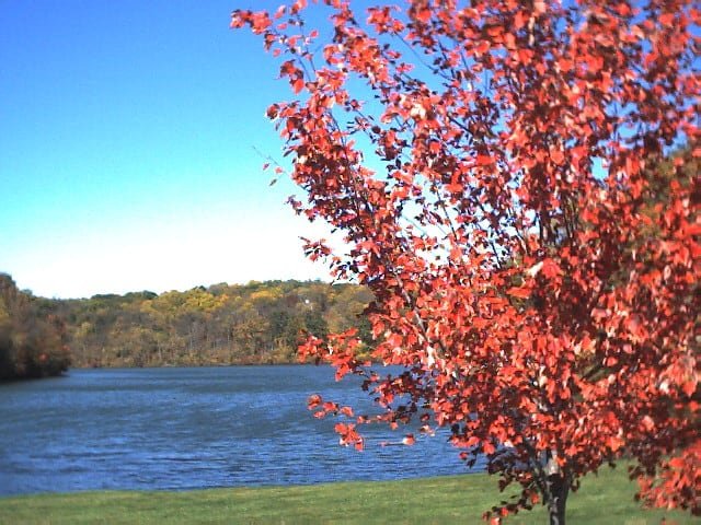 Lake Galena