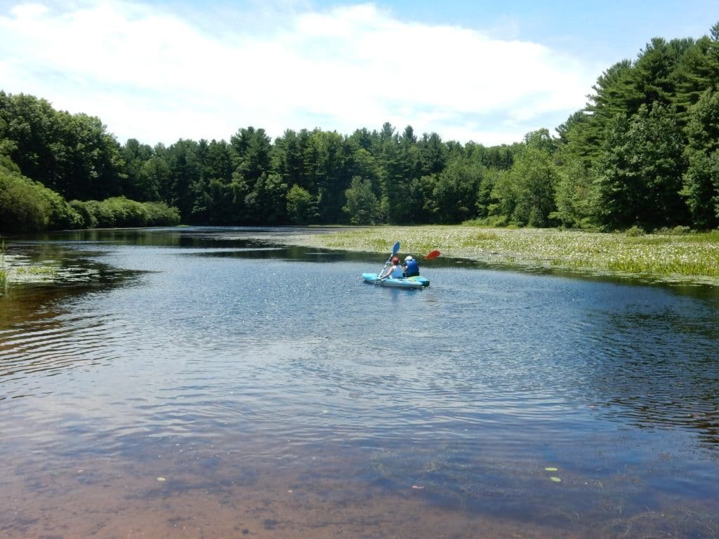 Lake Wintergreen