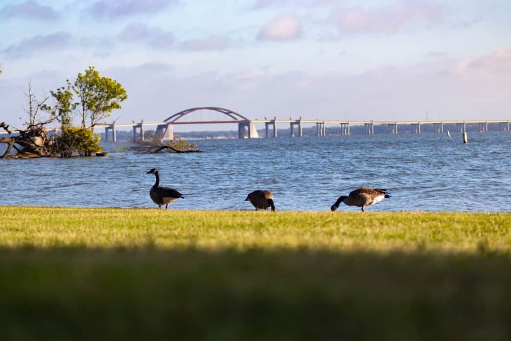 Lewisville Lake