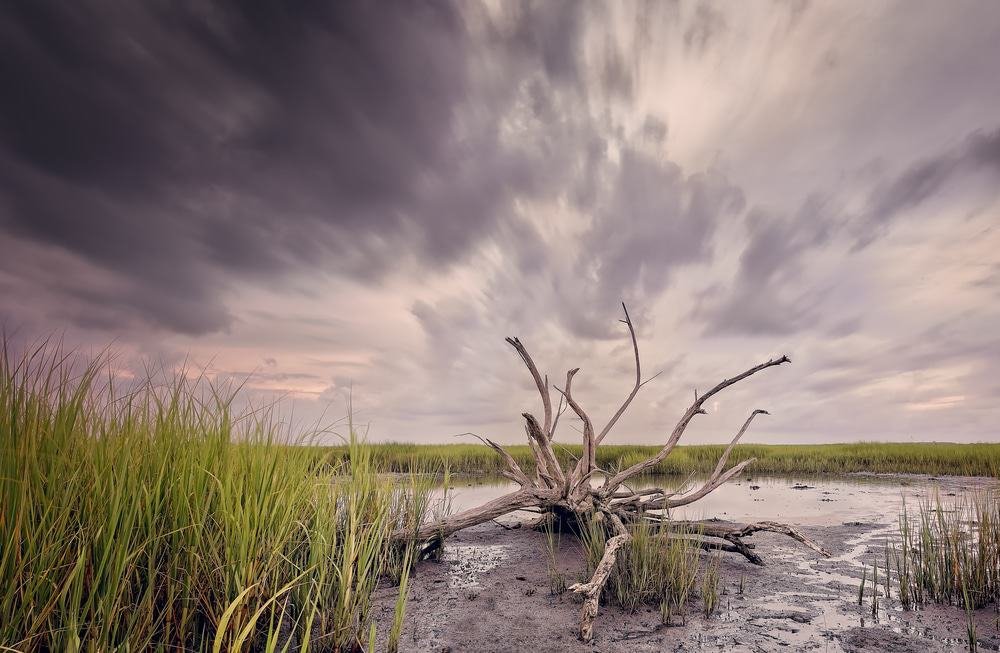 Mitchellville Beach Park