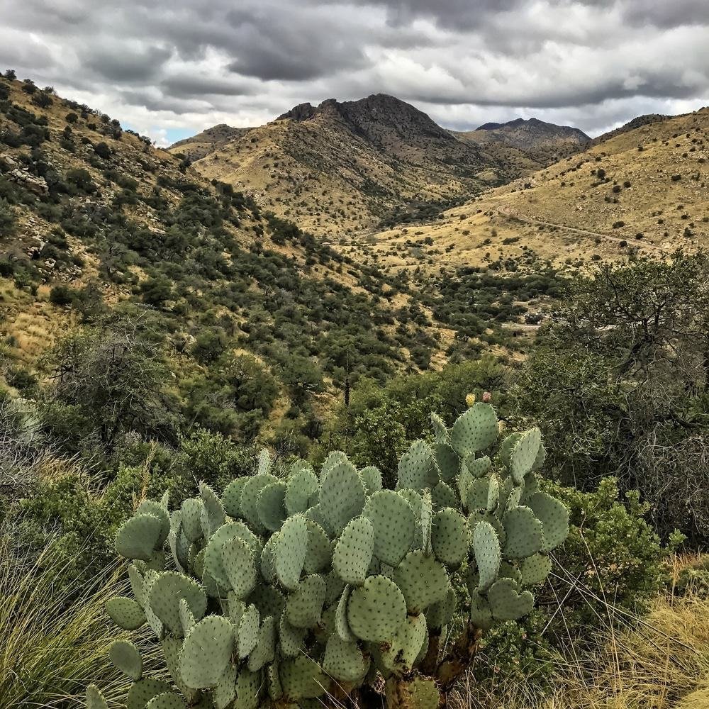 Mount Lemmon, Arizona