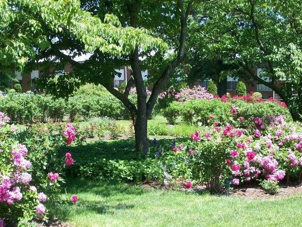 Pardee Rose Gardens